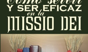 Cómo servir y ser eficaz en la Missio Dei
